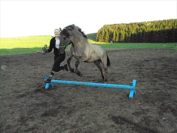 Anden særlig race Hannibal ( tidl. part) billede 14