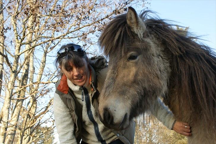 Islænder Sóley fra Skovstrupholm - Hun er bare så tillidsfuld.. billede 6