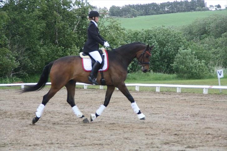 Oldenborg Remington - Til stævne i Brovst den 12. Juni 2010 billede 1