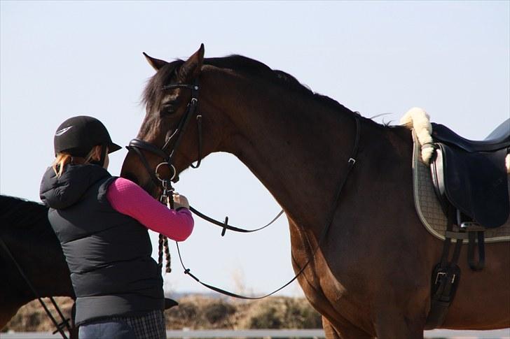 Oldenborg Remington billede 4