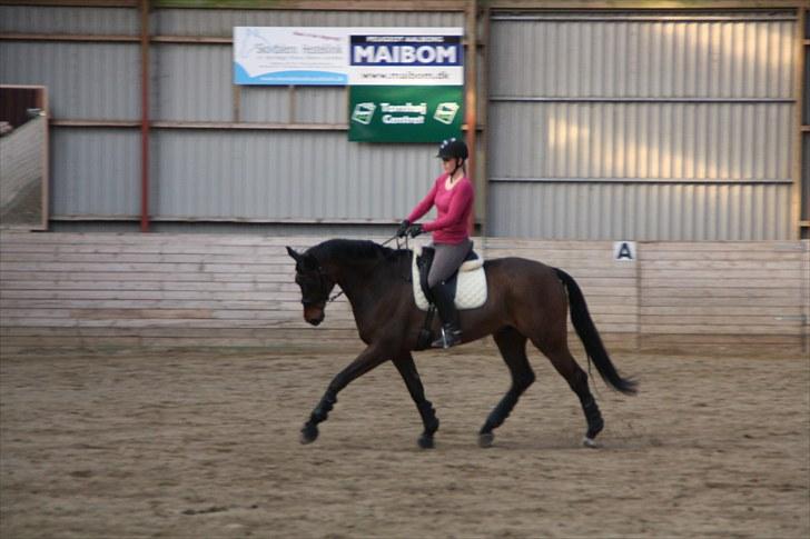 Oldenborg Remington billede 7