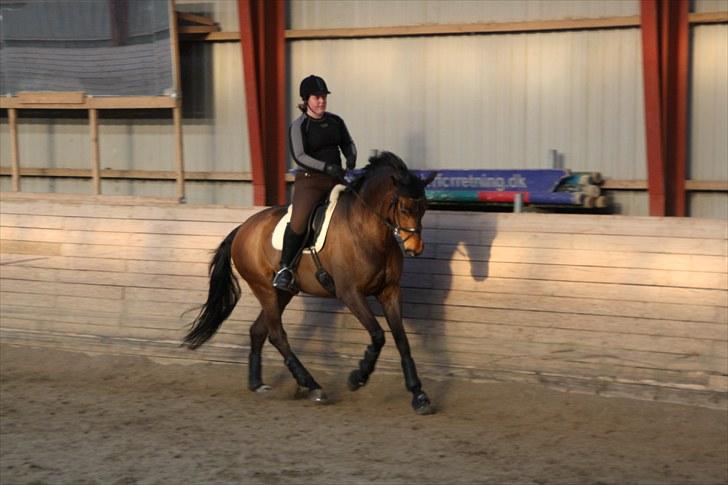 Oldenborg Remington billede 8