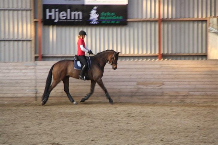 Oldenborg Remington billede 11