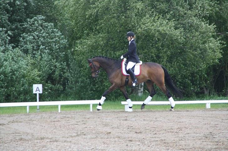 Oldenborg Remington billede 13