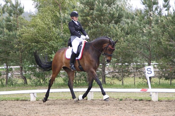 Oldenborg Remington billede 18