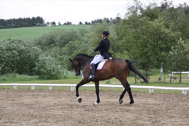 Oldenborg Remington billede 19