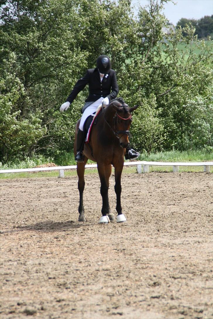 Oldenborg Remington billede 20