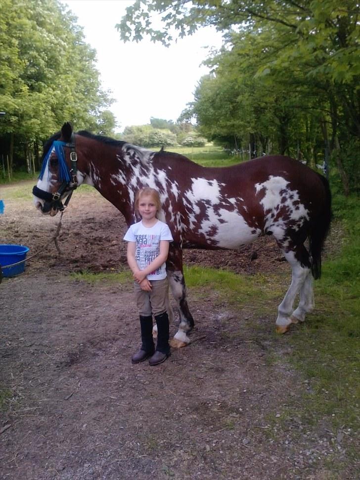 Criollo Don Pedro - Emilia ser så lille ud i forhold til Pedro :O) billede 19