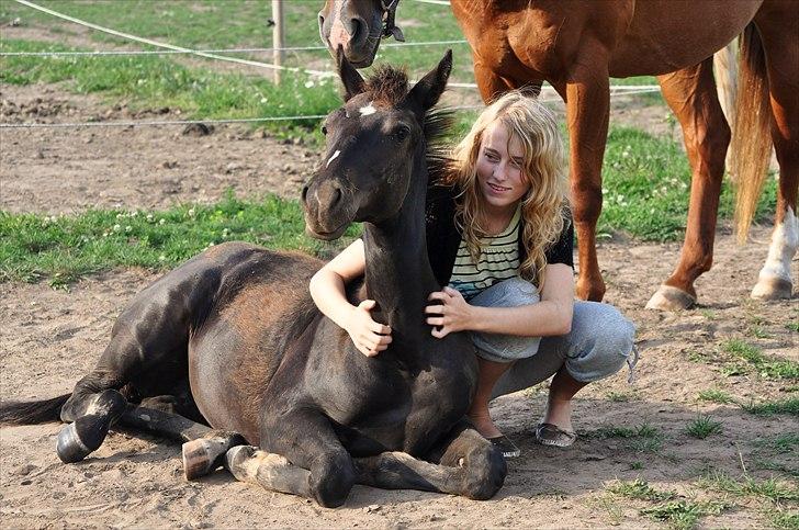Anden særlig race Watch Lui's Surprise - Hygge på folden en dejlig sommerdag - ca. 5 måneder gammel  billede 10