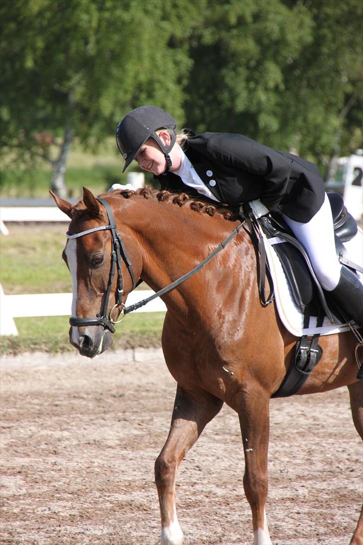 Anden særlig race Rin Tin Tin - BAL sommer 2010- Foto: Michael Priess billede 19