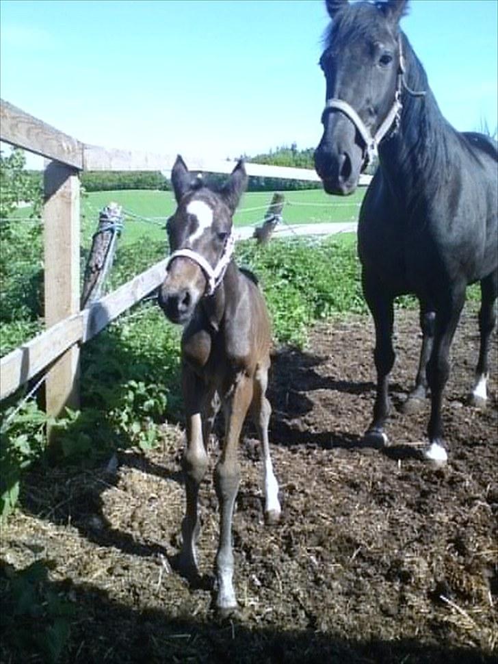 Traver TrulyMadlyDeeply billede 5