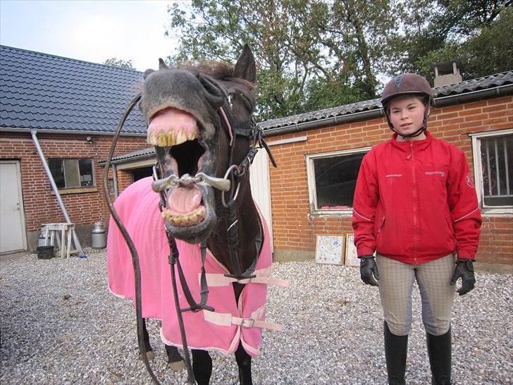 Anden særlig race Rokkesine - Total Y-billede <´3 LOVE <´3 nuuh hvor er du sød lille skath<´3 billede 18