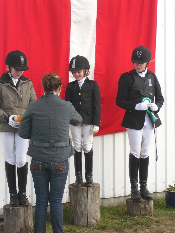 Anden særlig race Bailando (Frede)  billede 12