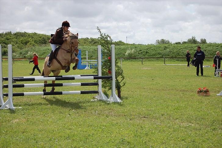 Anden særlig race Mille - B-pony - SOLGT ;/ - Mille & jeg La i Guldager d; - Foto Malene Lykke Hansen billede 8