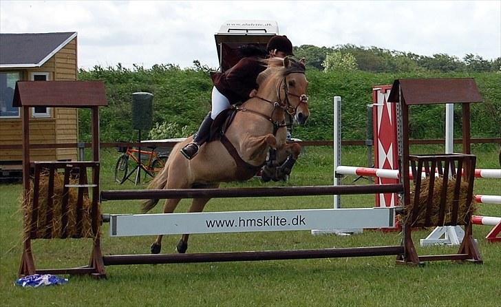 Anden særlig race Mille - B-pony - SOLGT ;/ - Mille & jeg La i Guldager d; - Foto Malene Lykke Hansen billede 9