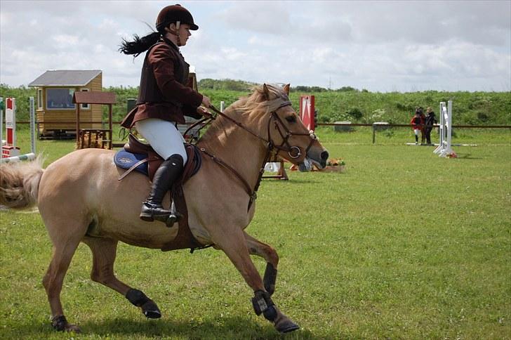 Anden særlig race Mille - B-pony - SOLGT ;/ - Mille & jeg La i Guldager d; - Foto Malene Lykke Hansen billede 10