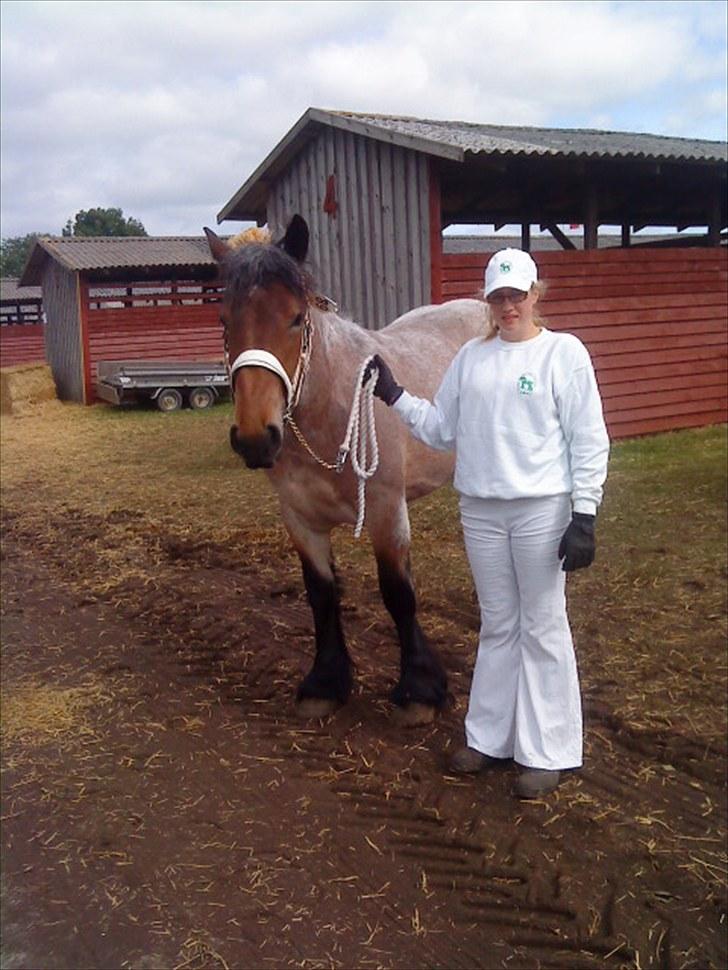 Belgier Mette Støvringgård  - Dyrskue 2010, hun var såe sød og det var hendes første dyrskue! billede 9