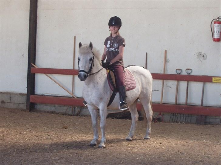 Anden særlig race Lotte - Lotte og jeg på vej ud på tur. billede 10