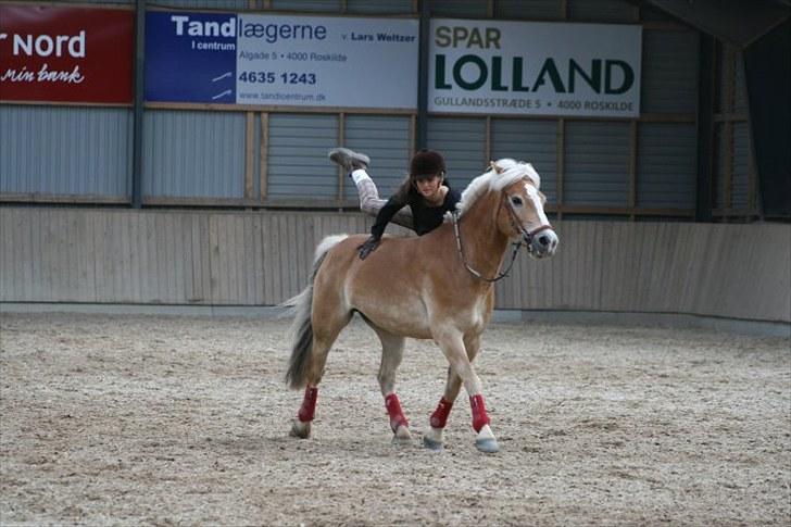 Haflinger Kong Fu - Kajsa hopper op på futte i trav 12.06.2010  billede 7