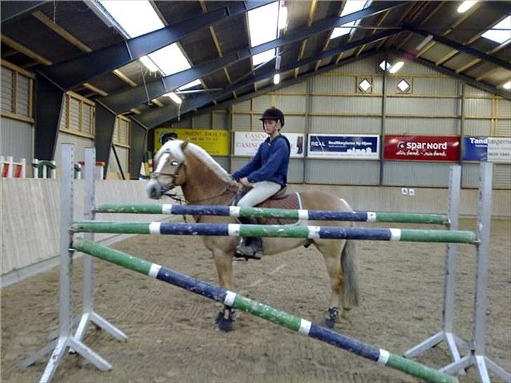 Haflinger Kong Fu - 15. maj 2010 .. de sprang 130 cm billede 9