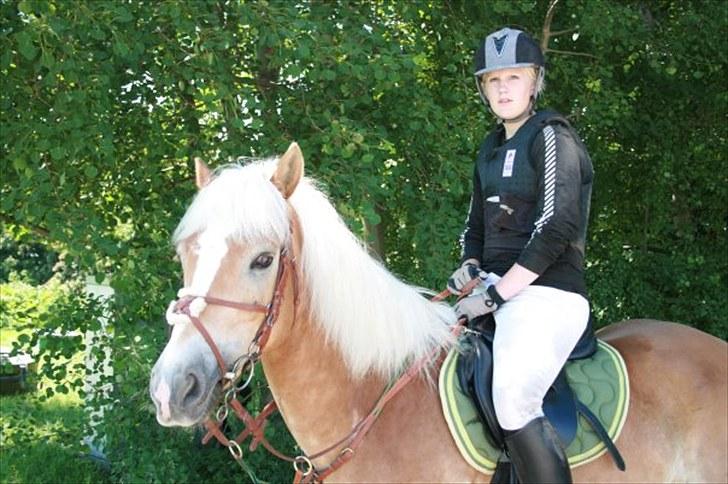 Haflinger Kong Fu - spring stævne Kildebrønde 2007 billede 16