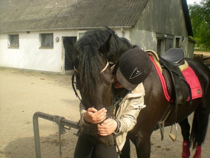 Anden særlig race Noah - I love you till the end of time until the earth stops turning <3 billede 2