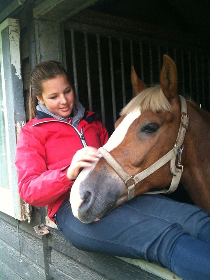 Anden særlig race Sakskærs comet II - A pony - Jeg elsker dig<3 billede 11