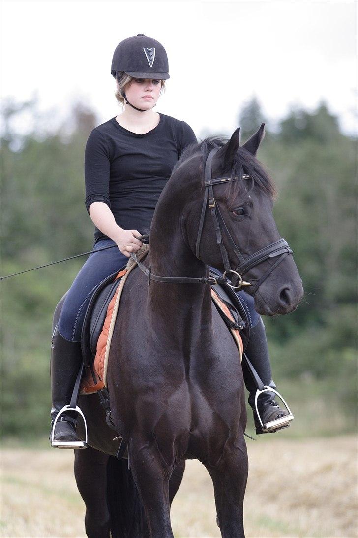 Anden særlig race Noah - ..Never stop hoping, Need to know where you are, But one thing is for sure..You´re always in my heart<3 billede 5