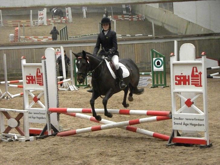 Anden særlig race Holtegårdens Splif - Splif og mig til stævne på MAK. 70 cm. ret lavt(: Taget af; Freja Fokdal billede 3