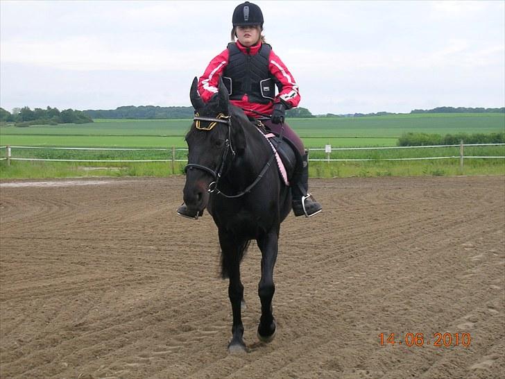 Anden særlig race Shikira "Leveret tilbage" billede 10