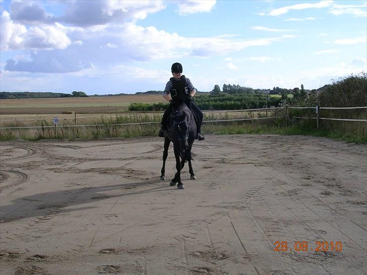 Anden særlig race Shikira "Leveret tilbage" - "NYT d. 28.8.2010" billede 14