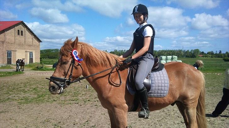 Anden særlig race Mintün Kirkaba R.I.P billede 13