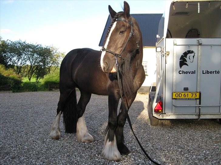 Tinker Joey Mac Nessa billede 17