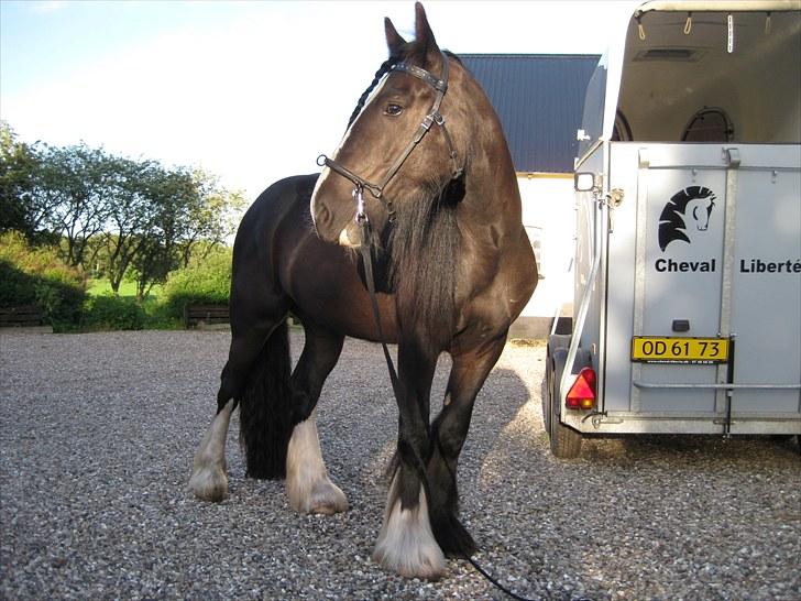 Tinker Joey Mac Nessa billede 16