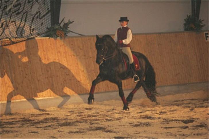 Frieser Quinzi - Wierd 409 - Quinzi´s far :o) Wow han er fin .. :o) billede 10