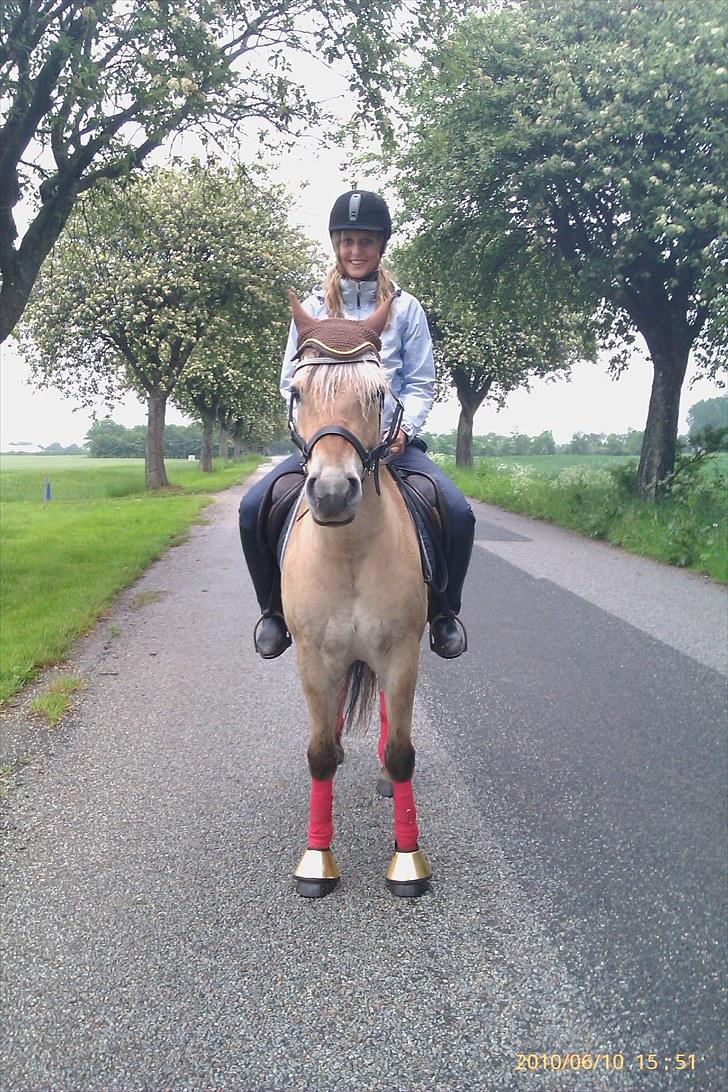 Fjordhest Romeo's Fakir  R.I.P :'( - min veninde Stine på Fakir.. <3 elsker jer bekke billede 15