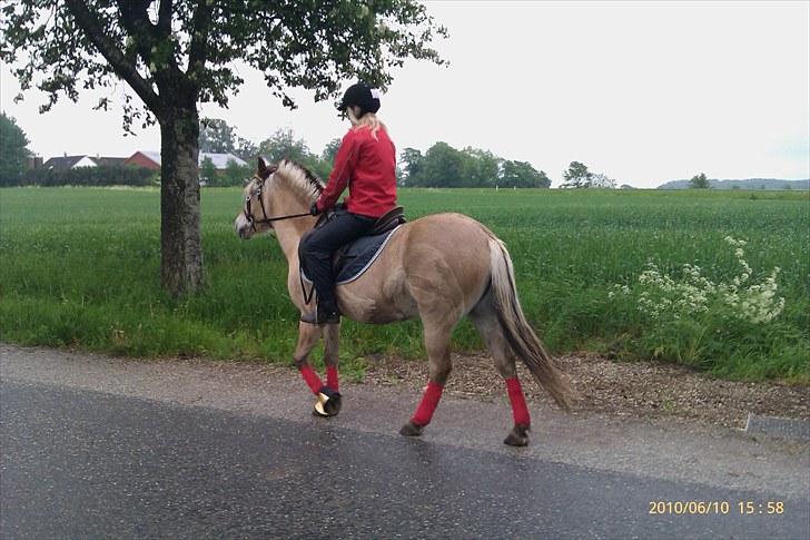 Fjordhest Romeo's Fakir  R.I.P :'( - mig på Fakir på tur:D billede 16