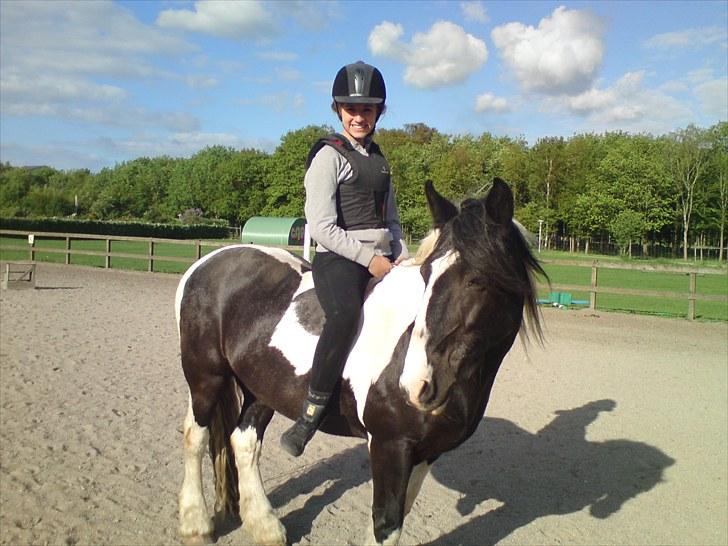 Irish Cob Jensen<3 *Passer*  billede 20