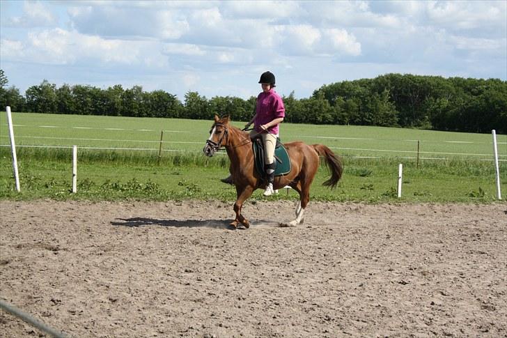 Anden særlig race Felina *SOLGT* billede 9