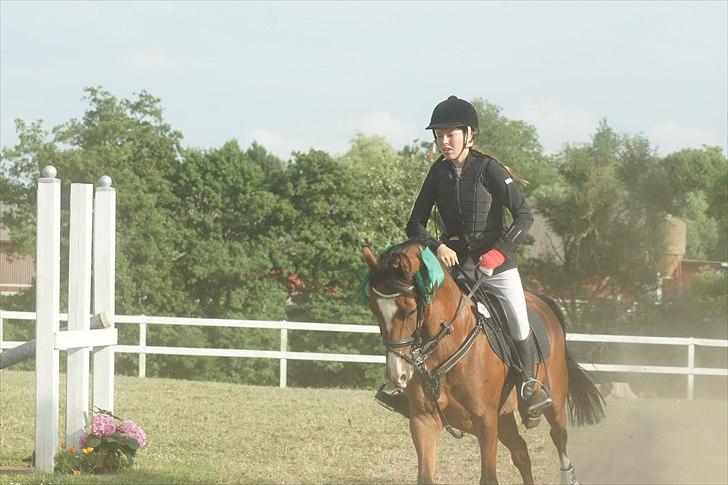 DSP Emilia's Grevenrit  - 19) Fynsmester 4. plads. 3 nulrunder (Med brækkede arm)  billede 19