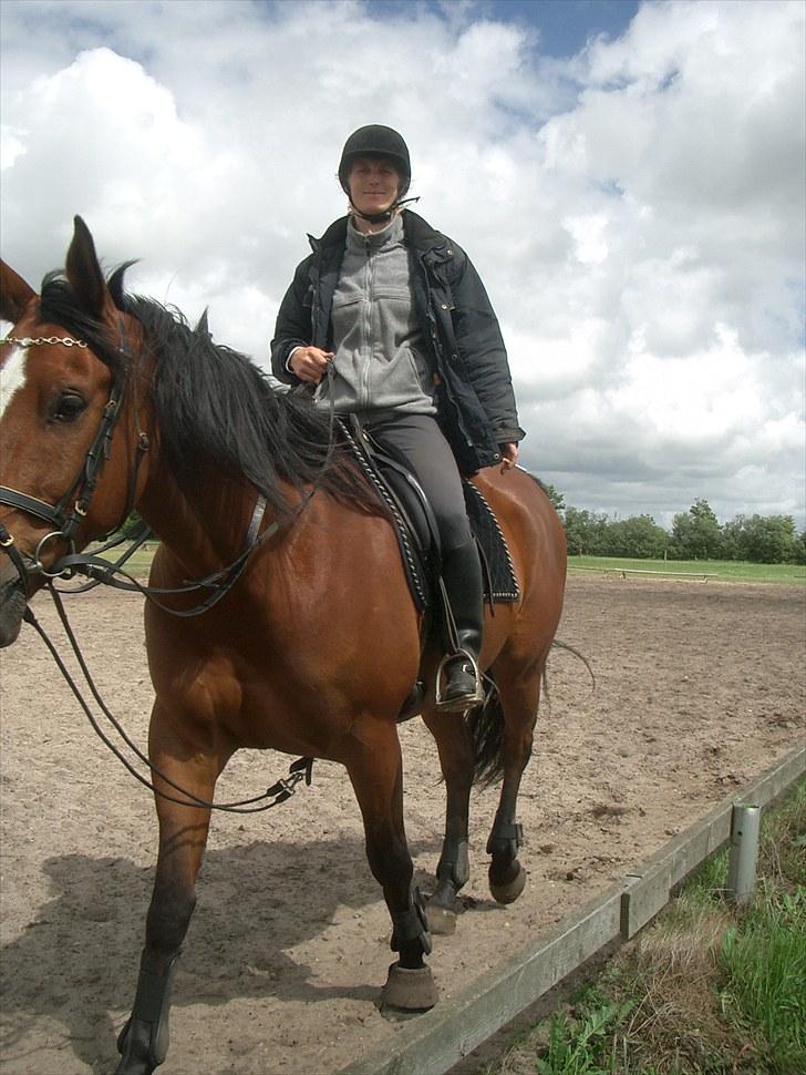 Anden særlig race Enggaarden's Prince billede 12