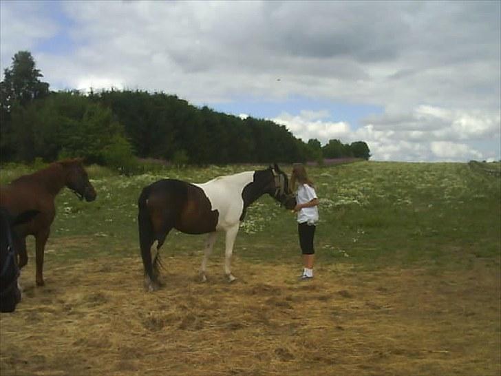Anden særlig race Esther - Gamle part! :'( - Foto Camilla billede 7
