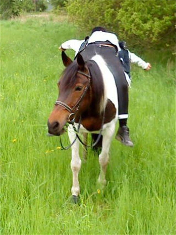 Anden særlig race Esther - Gamle part! :'( - Foto: Camilla billede 9