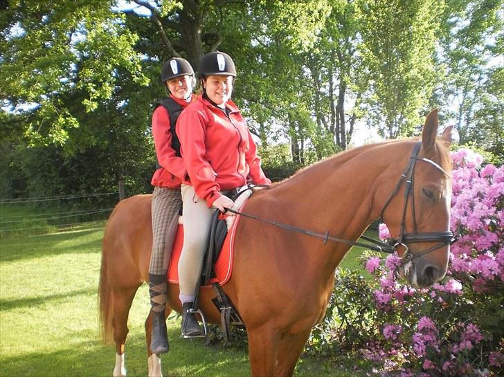 Anden særlig race Magnus billede 6