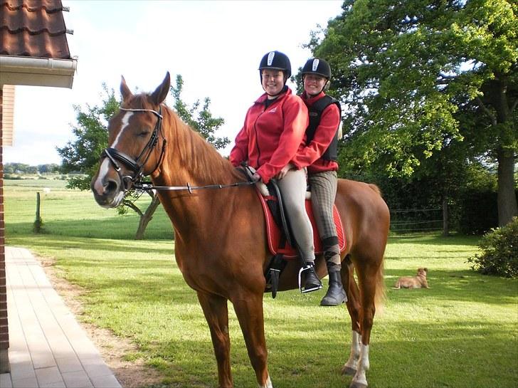 Anden særlig race Magnus billede 7