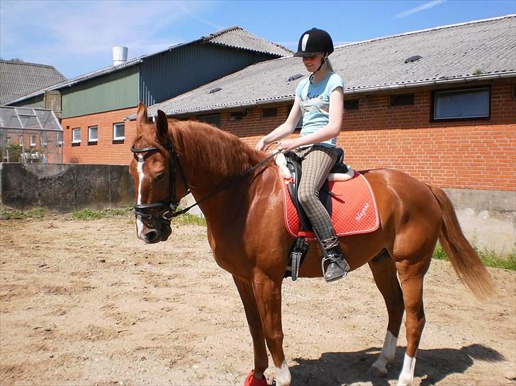 Anden særlig race Magnus billede 8