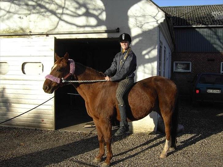 Traver Bølle Bob billede 10
