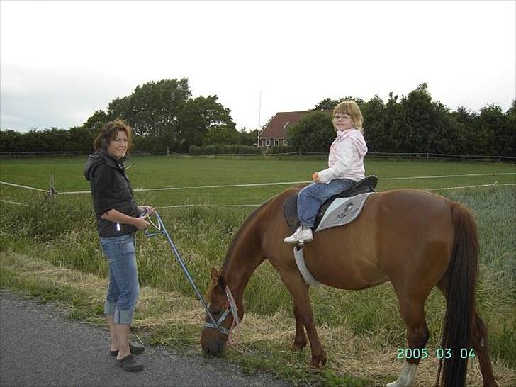 Traver Bølle Bob billede 11