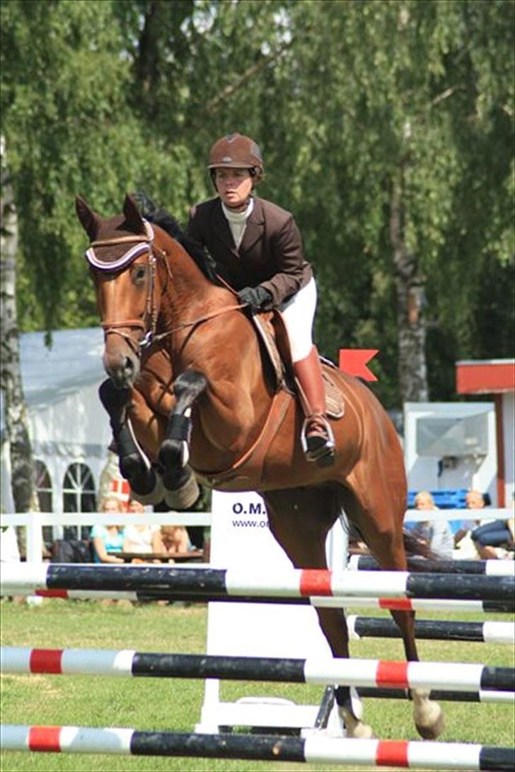 Dansk Varmblod Calahan - Calahan med hans gamle ejer :) billede 2