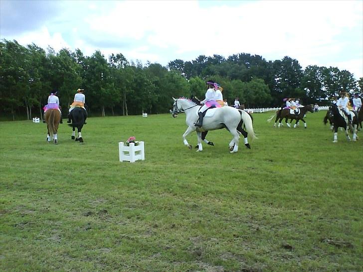 Dansk Varmblod Klostergaardens Medusa - så er vi i gang med programmet, og det gik rigtigt godt :)  billede 4